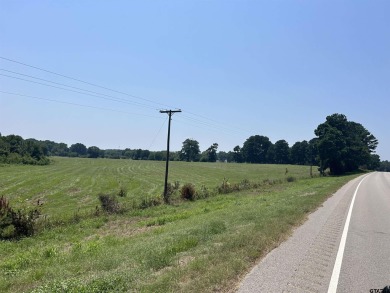 BEAUTIFUL TRACT OF LAND WITH PLENTY OF ROAD FRONTAGE ON HWY 135 on Hilltop Country Club in Texas - for sale on GolfHomes.com, golf home, golf lot