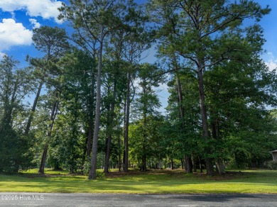 Location, Location, Location ..... situated near the Founders on Members Club At St. James Plantation in North Carolina - for sale on GolfHomes.com, golf home, golf lot
