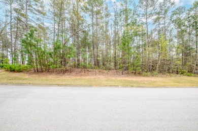 Build your dream home on this exceptional 0.66 acre lot in a on Mount Vintage Plantation and Golf Club  in South Carolina - for sale on GolfHomes.com, golf home, golf lot