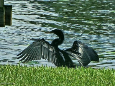 $15,000 price drop! Best Value and BEST LAKE VIEW in the on Myerlee Country Club in Florida - for sale on GolfHomes.com, golf home, golf lot