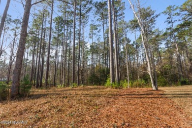 This spacious 1.48-acre lot is perfectly situated in a on Carolina Colours Golf Club in North Carolina - for sale on GolfHomes.com, golf home, golf lot