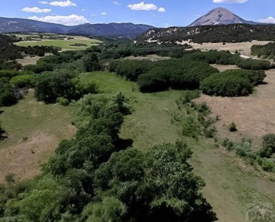 MOTIVATED SELLER!! Welcome to Lot #1 La Veta Mesa, located just on Grandote Peaks Golf Club in Colorado - for sale on GolfHomes.com, golf home, golf lot