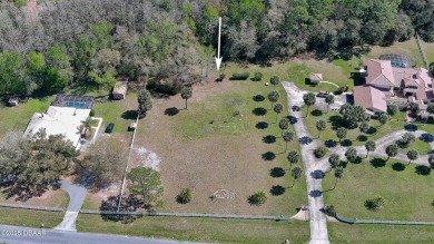 'Quiet Place in the Country' is an equestrian-friendly on Spruce Creek Golf Club in Florida - for sale on GolfHomes.com, golf home, golf lot