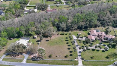 'Quiet Place in the Country' is an equestrian-friendly on Spruce Creek Golf Club in Florida - for sale on GolfHomes.com, golf home, golf lot
