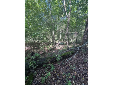 Beautiful cul-de-sac lot is only blocks from Lake Brittany & on Bella Vista - Metfield Golf Complex and Country Club in Arkansas - for sale on GolfHomes.com, golf home, golf lot