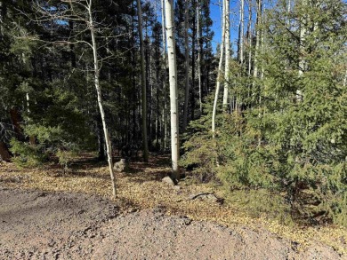 Lovely half-acre home site on a quiet road above the Angel Fire on Angel Fire Resort Country Club in New Mexico - for sale on GolfHomes.com, golf home, golf lot