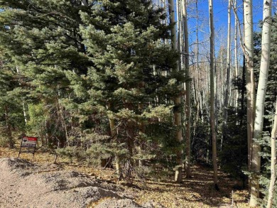 Lovely half-acre home site on a quiet road above the Angel Fire on Angel Fire Resort Country Club in New Mexico - for sale on GolfHomes.com, golf home, golf lot