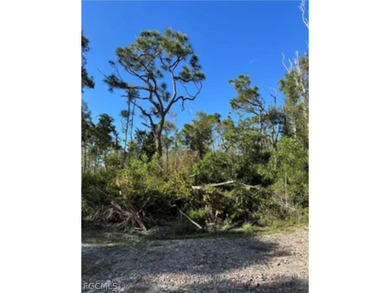 Fantastic Opportunity for a Vacant Lot in the Desirable Pineland on Alden Pines Golf Club in Florida - for sale on GolfHomes.com, golf home, golf lot