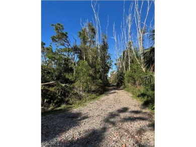 Fantastic Opportunity for a Vacant Lot in the Desirable Pineland on Alden Pines Golf Club in Florida - for sale on GolfHomes.com, golf home, golf lot