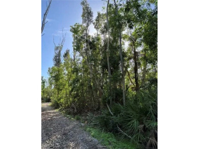 Fantastic Opportunity for a Vacant Lot in the Desirable Pineland on Alden Pines Golf Club in Florida - for sale on GolfHomes.com, golf home, golf lot