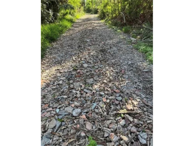 Fantastic Opportunity for a Vacant Lot in the Desirable Pineland on Alden Pines Golf Club in Florida - for sale on GolfHomes.com, golf home, golf lot