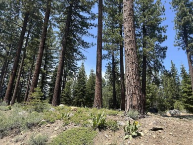Sunny, south facing lot that backs directly to the Donner Lake on Coyote Moon Golf Course in California - for sale on GolfHomes.com, golf home, golf lot