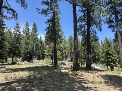 Sunny, south facing lot that backs directly to the Donner Lake on Coyote Moon Golf Course in California - for sale on GolfHomes.com, golf home, golf lot