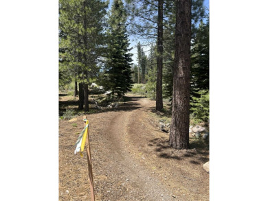 Sunny, south facing lot that backs directly to the Donner Lake on Coyote Moon Golf Course in California - for sale on GolfHomes.com, golf home, golf lot