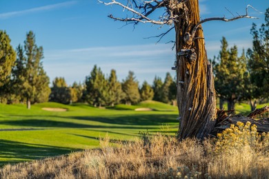 Located on the 18th fairway of The Ridge Course in Eagle Crest on Eagle Crest Golf Resort - Resort Course in Oregon - for sale on GolfHomes.com, golf home, golf lot