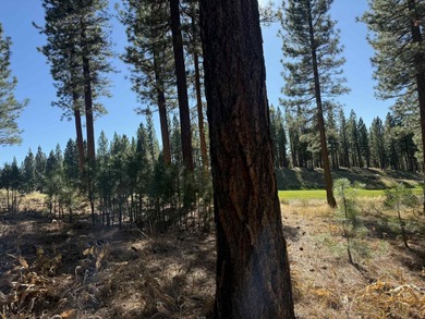Welcome to Grizzly Ranch -- a premier gated golf community on  in California - for sale on GolfHomes.com, golf home, golf lot