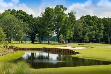 55+ Home, Single Story Design, Spacious Great Room on Trilogy at Ocala Preserve in Florida - for sale on GolfHomes.com, golf home, golf lot