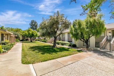 WOW!!!!!  Meticulously remodeled condo in the desirable Villages on Villages Golf and Country Club in California - for sale on GolfHomes.com, golf home, golf lot