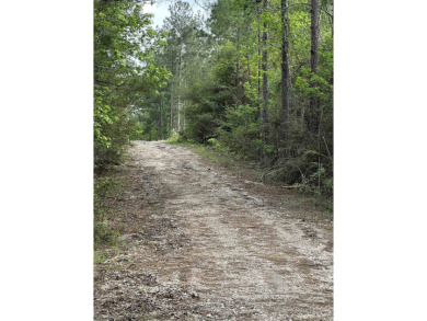 Enjoy the vibrant Rayburn Resort & Marina lifestyle with this on Rayburn Country Club in Texas - for sale on GolfHomes.com, golf home, golf lot