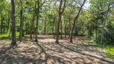 Build your dream home today!  Located adjacent to the popular on Copperas Hollow Country Club in Texas - for sale on GolfHomes.com, golf home, golf lot