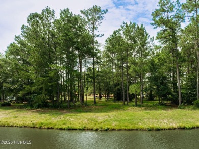 Build your Dream home ~ 166 Falls Landing Way - River Landing

 on River Landing Golf Course in North Carolina - for sale on GolfHomes.com, golf home, golf lot