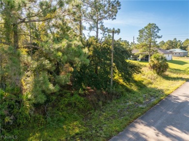 Great Investment! .5 Acre Almost Cleared Lot on Paved Road in on Lehigh Resort Club in Florida - for sale on GolfHomes.com, golf home, golf lot