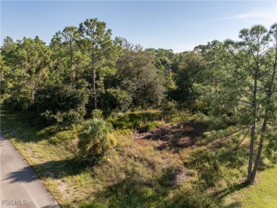 Great Investment! .5 Acre Almost Cleared Lot on Paved Road in on Lehigh Resort Club in Florida - for sale on GolfHomes.com, golf home, golf lot