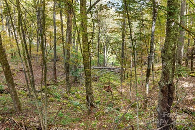 Mountain view homesite, now triple the size. This combined 3-lot on Wolf Laurel Country Club in North Carolina - for sale on GolfHomes.com, golf home, golf lot