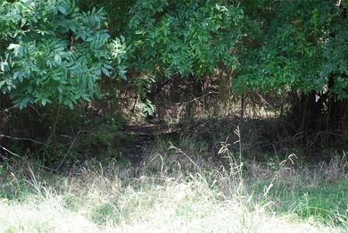 Bargain, 2 golf course lots for the price of one. They located on White Bluff Resort - Old Course in Texas - for sale on GolfHomes.com, golf home, golf lot