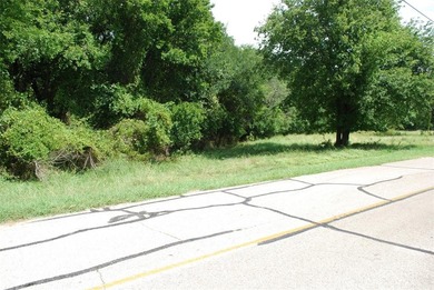 Bargain, 2 golf course lots for the price of one. They located on White Bluff Resort - Old Course in Texas - for sale on GolfHomes.com, golf home, golf lot