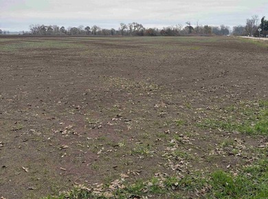 These Five, 1.54 acre lots offer an excellent location directly on  in Arkansas - for sale on GolfHomes.com, golf home, golf lot