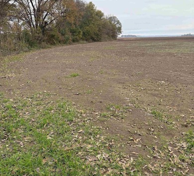 These Five, 1.54 acre lots offer an excellent location directly on  in Arkansas - for sale on GolfHomes.com, golf home, golf lot