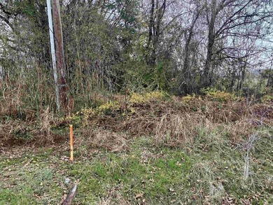 These Five, 1.54 acre lots offer an excellent location directly on  in Arkansas - for sale on GolfHomes.com, golf home, golf lot