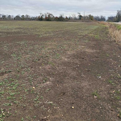 These Five, 1.54 acre lots offer an excellent location directly on  in Arkansas - for sale on GolfHomes.com, golf home, golf lot