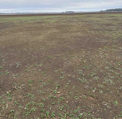 These Five, 1.54 acre lots offer an excellent location directly on  in Arkansas - for sale on GolfHomes.com, golf home, golf lot