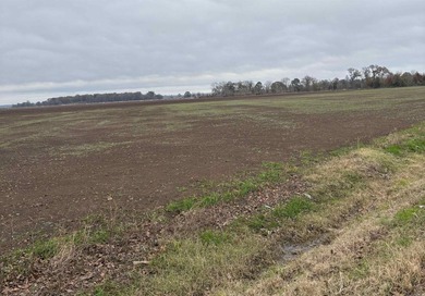 These Five, 1.54 acre lots offer an excellent location directly on  in Arkansas - for sale on GolfHomes.com, golf home, golf lot