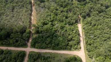 Nice lot in Tahitian Village ready for your personal touch on Pine Forest Golf Club in Texas - for sale on GolfHomes.com, golf home, golf lot