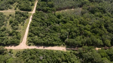 Nice lot in Tahitian Village ready for your personal touch on Pine Forest Golf Club in Texas - for sale on GolfHomes.com, golf home, golf lot