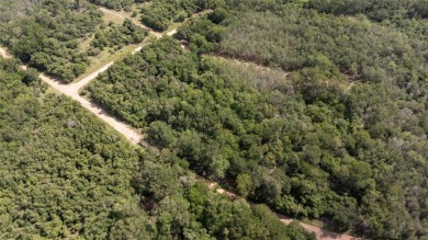 Nice lot in Tahitian Village ready for your personal touch on Pine Forest Golf Club in Texas - for sale on GolfHomes.com, golf home, golf lot