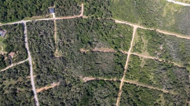 Nice lot in Tahitian Village ready for your personal touch on Pine Forest Golf Club in Texas - for sale on GolfHomes.com, golf home, golf lot