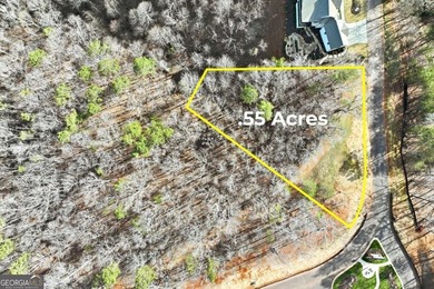 Welcome to a rare opportunity in Bear Paw Ridge at Achasta, one on Achasta Golf Club in Georgia - for sale on GolfHomes.com, golf home, golf lot