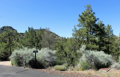 INCREDIBLY RARE, PRIVATE GOLF COURSE LOT on 17TH TEE, with only on Capital Canyon Club in Arizona - for sale on GolfHomes.com, golf home, golf lot