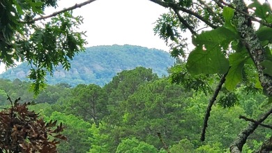Secluded, private house with view of Sugar Loaf Mountain on Indian Hills Country Club in Arkansas - for sale on GolfHomes.com, golf home, golf lot