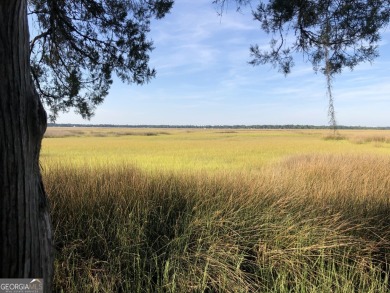 Rare Private Island Opportunity in Sanctuary Cove - Hogans on The Golf Club At Sanctuary Cove in Georgia - for sale on GolfHomes.com, golf home, golf lot