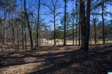 Move In Ready Townhouse with Private Back Patio that backs up to on Inverness Country Club in Alabama - for sale on GolfHomes.com, golf home, golf lot