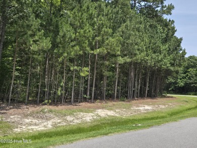 Don't miss out on this awesome just under half acre wooded on Sound Golf Links at Albemarle Plantation in North Carolina - for sale on GolfHomes.com, golf home, golf lot
