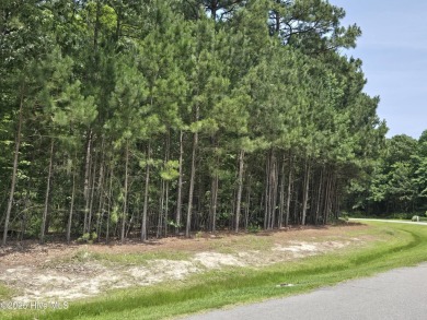 Don't miss out on this awesome just under half acre wooded on Sound Golf Links at Albemarle Plantation in North Carolina - for sale on GolfHomes.com, golf home, golf lot