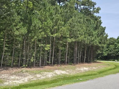 Don't miss out on this awesome just under half acre wooded on Sound Golf Links at Albemarle Plantation in North Carolina - for sale on GolfHomes.com, golf home, golf lot