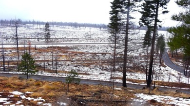 Almost 1 acre (.95) flag lot located in Lake Almanor's favorite on Lake Almanor West Golf Course in California - for sale on GolfHomes.com, golf home, golf lot