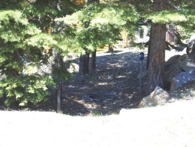 Almost 1 acre (.95) flag lot located in Lake Almanor's favorite on Lake Almanor West Golf Course in California - for sale on GolfHomes.com, golf home, golf lot